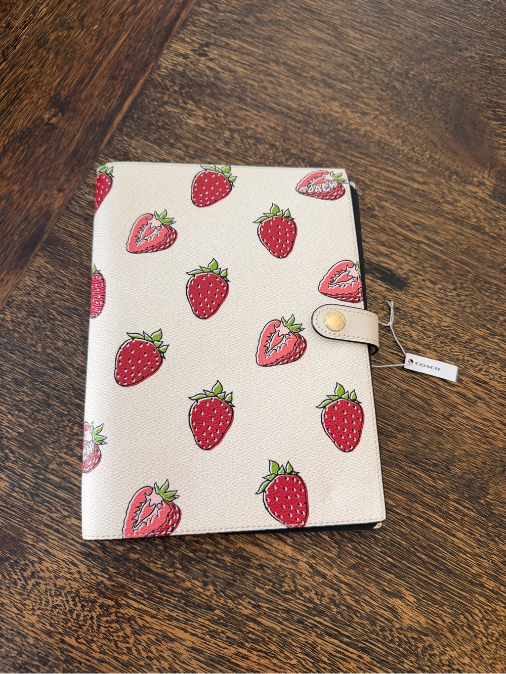 Coach Notebook Signature Canvas Strawberry Print Chalk Multi Leather Cover CH481